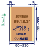 ドライプリンターDP-2 押印範囲図